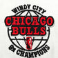 New Era Chicago Bulls 59 FIFTY 2 tonos
